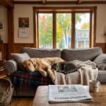 Chien et chat prêts à retrouver la routine de la rentrée